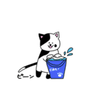 真夏のさけねこ（個別スタンプ：4）