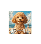 かわいく夏満喫トイプードル（個別スタンプ：8）
