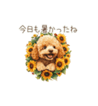 かわいく夏満喫トイプードル（個別スタンプ：23）