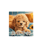 かわいく夏満喫トイプードル（個別スタンプ：24）