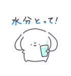 あざらち＆いぬうさ〜夏〜（個別スタンプ：17）