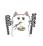 うどんを食べる猫（個別スタンプ：4）