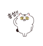 【韓国語】動く！ねこちゃんだもの（個別スタンプ：5）