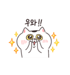 【韓国語】動く！ねこちゃんだもの（個別スタンプ：12）