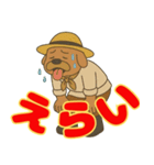 遠州 おじさん犬（個別スタンプ：1）