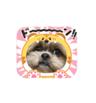 makura＆ochame！No.1（個別スタンプ：2）