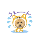 makura＆ochame！No.1（個別スタンプ：4）
