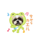 makura＆ochame！No.1（個別スタンプ：5）