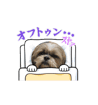 makura＆ochame！No.1（個別スタンプ：6）