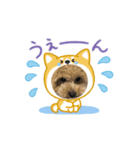 makura＆ochame！No.1（個別スタンプ：7）
