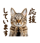 いのる猫（個別スタンプ：26）