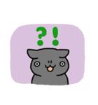 連絡！ねこたんず(英語)（個別スタンプ：40）