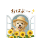 癒しプードルの「夏」の毎日（個別スタンプ：1）