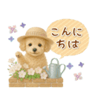 癒しプードルの「夏」の毎日（個別スタンプ：3）