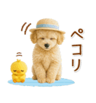 癒しプードルの「夏」の毎日（個別スタンプ：8）
