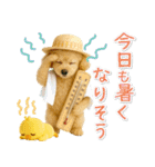 癒しプードルの「夏」の毎日（個別スタンプ：9）