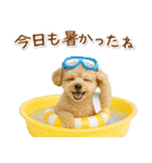 癒しプードルの「夏」の毎日（個別スタンプ：10）