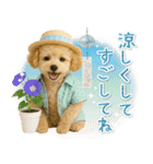 癒しプードルの「夏」の毎日（個別スタンプ：11）