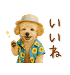 癒しプードルの「夏」の毎日（個別スタンプ：21）