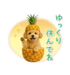 癒しプードルの「夏」の毎日（個別スタンプ：23）