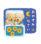 癒しプードルの「夏」の毎日（個別スタンプ：24）