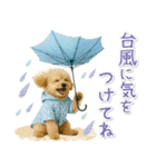 癒しプードルの「夏」の毎日（個別スタンプ：27）