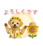 癒しプードルの「夏」の毎日（個別スタンプ：35）