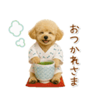 癒しプードルの「夏」の毎日（個別スタンプ：36）