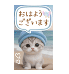 スコティッシュ猫 カラフル 夏 吹き出しBIG（個別スタンプ：2）