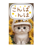 スコティッシュ猫 カラフル 夏 吹き出しBIG（個別スタンプ：4）