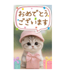 スコティッシュ猫 カラフル 夏 吹き出しBIG（個別スタンプ：11）