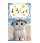 スコティッシュ猫 カラフル 夏 吹き出しBIG（個別スタンプ：14）