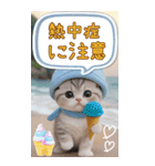 スコティッシュ猫 カラフル 夏 吹き出しBIG（個別スタンプ：17）