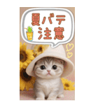 スコティッシュ猫 カラフル 夏 吹き出しBIG（個別スタンプ：18）