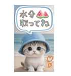 スコティッシュ猫 カラフル 夏 吹き出しBIG（個別スタンプ：19）