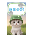 スコティッシュ猫 カラフル 夏 吹き出しBIG（個別スタンプ：21）