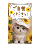 スコティッシュ猫 カラフル 夏 吹き出しBIG（個別スタンプ：24）