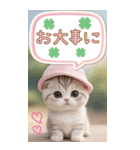 スコティッシュ猫 カラフル 夏 吹き出しBIG（個別スタンプ：27）