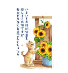 BIG♡暑中見舞い♡はがき風 夏のご挨拶（個別スタンプ：12）
