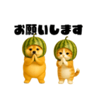 動く！スイカ犬＆猫（個別スタンプ：4）