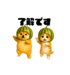 動く！スイカ犬＆猫（個別スタンプ：7）