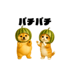動く！スイカ犬＆猫（個別スタンプ：8）
