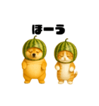 動く！スイカ犬＆猫（個別スタンプ：11）