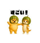 動く！スイカ犬＆猫（個別スタンプ：16）