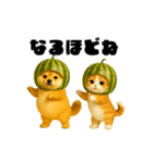 動く！スイカ犬＆猫（個別スタンプ：20）