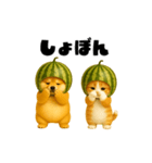 動く！スイカ犬＆猫（個別スタンプ：22）