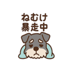 ねむねむシュナの無限ぬくぬくセット（個別スタンプ：1）
