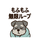 ねむねむシュナの無限ぬくぬくセット（個別スタンプ：4）