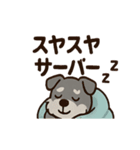 ねむねむシュナの無限ぬくぬくセット（個別スタンプ：6）