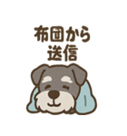 ねむねむシュナの無限ぬくぬくセット（個別スタンプ：21）